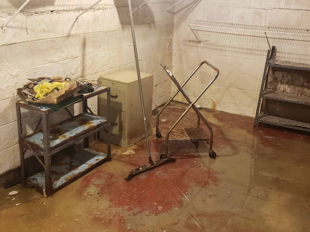 Musty, damp basement with stained concrete floors and walls showing moisture damage in a West Virginia home.